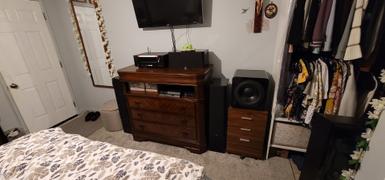 SVS Prime Tower Surround System Review