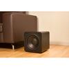 SVS SB-1000 Subwoofer Room